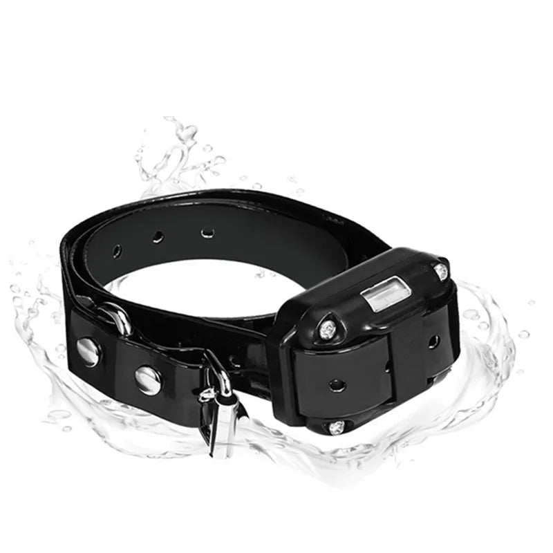 Vattentät Elektronisk Anti-Bark Halsband för Hund – Lång Räckvidd Fjärrkontroll