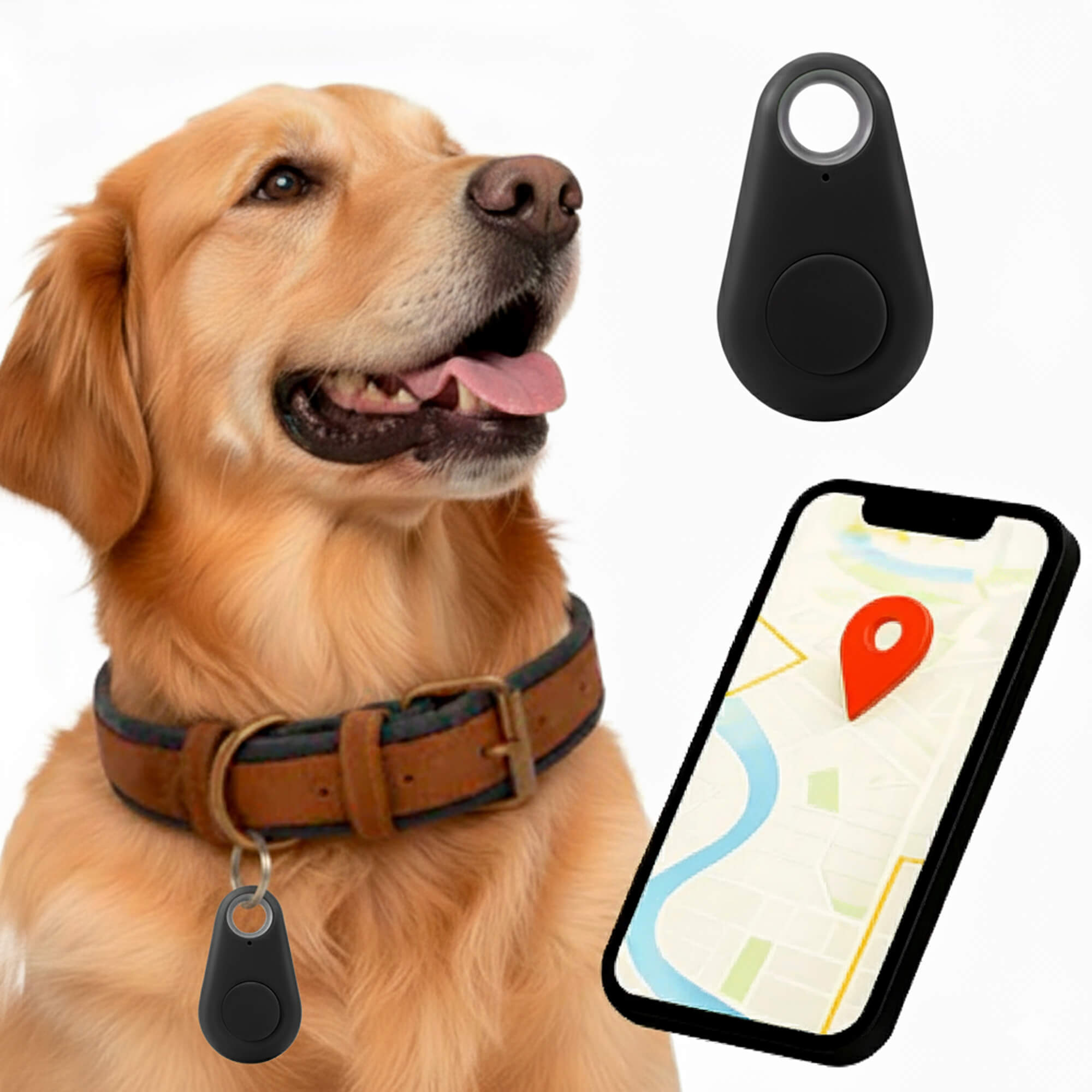 Kirra GPS Vattentät Hundtracker Med Live Platsuppdateringar
