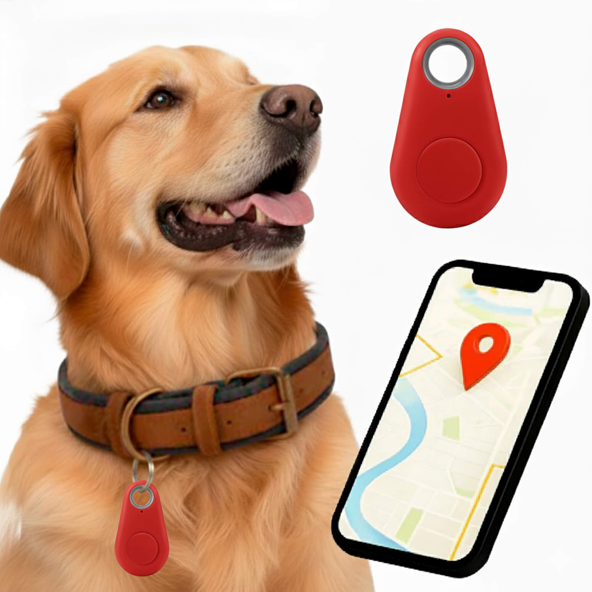 Kirra GPS Vattentät Hundtracker Med Live Platsuppdateringar