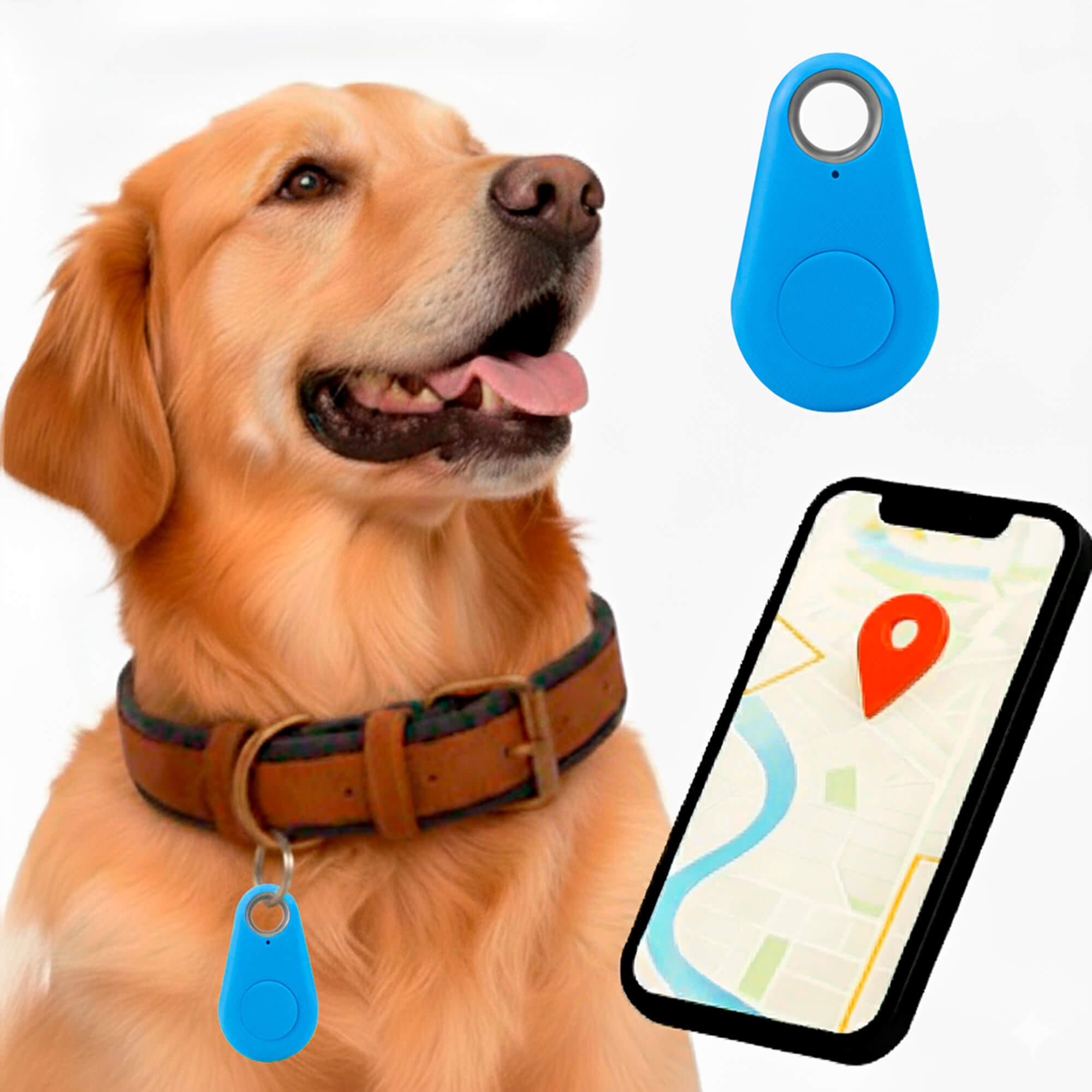 Kirra GPS Vattentät Hundtracker Med Live Platsuppdateringar