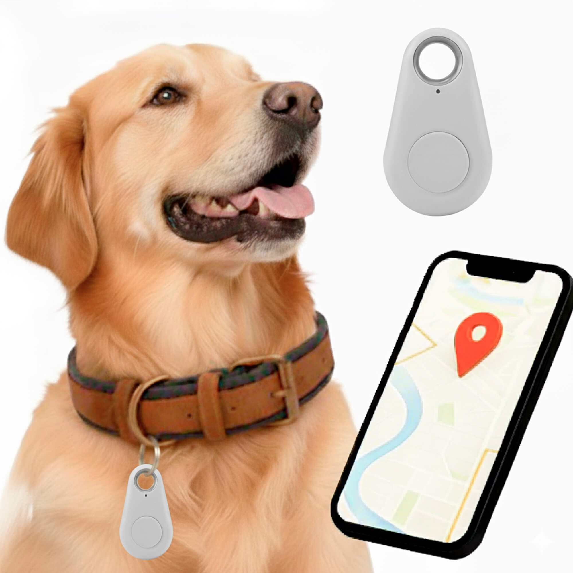 Kirra GPS Vattentät Hundtracker Med Live Platsuppdateringar