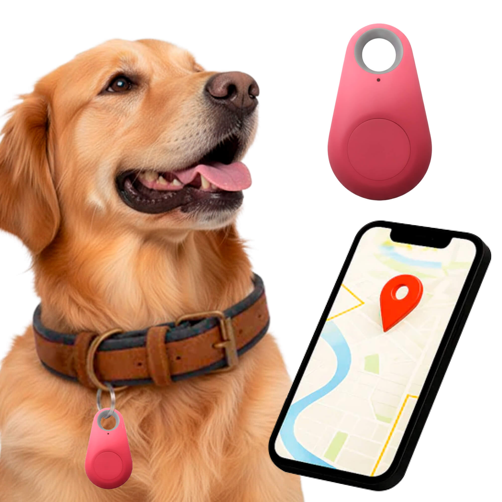Kirra GPS Vattentät Hundtracker Med Live Platsuppdateringar