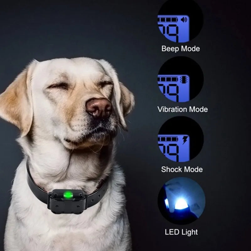 Elektrisk hundträning E-halsband – Säkert, effektivt fjärrkontroll