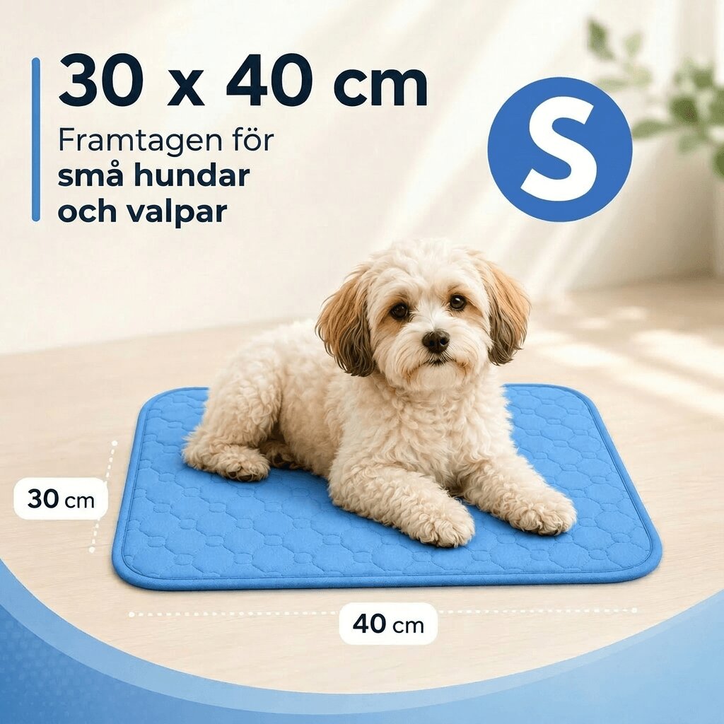 Svalkande kylmatta för hund | Svalpaws