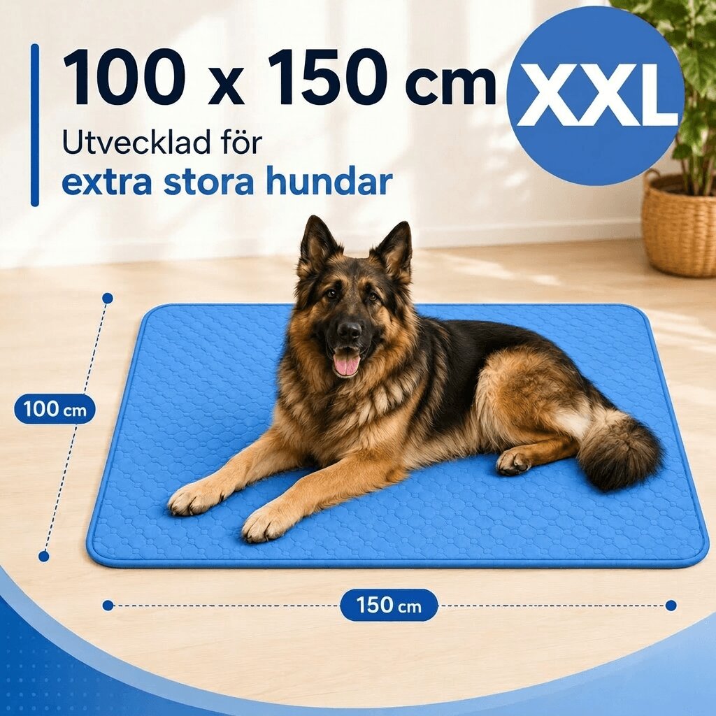 Svalkande kylmatta för hund | Svalpaws