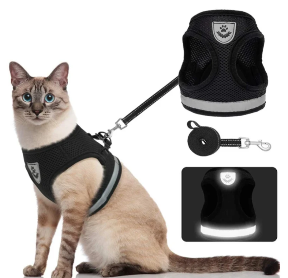 Säker kattsele med koppel för trygga utomhusäventyr och promenader för din katt.