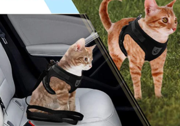 Ergonomisk kattsele med koppel som djurtillbehör för bekväma utflykter.