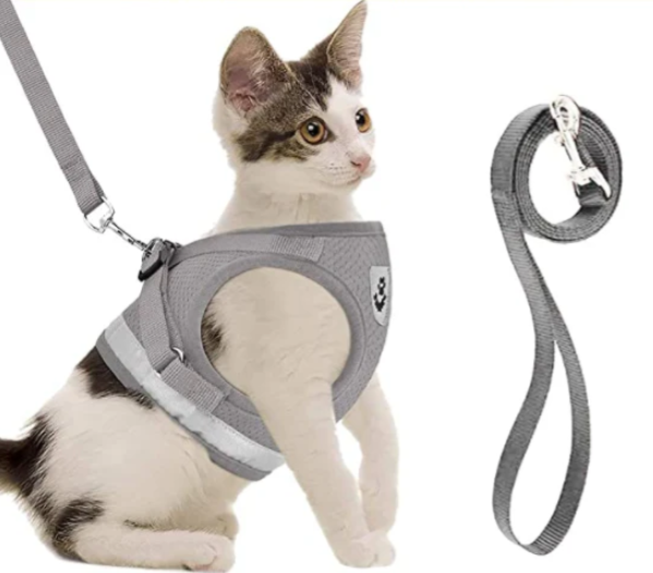 Grå justerbar kattsele med matchande koppel, lättviktig för trygga kattpromenader.